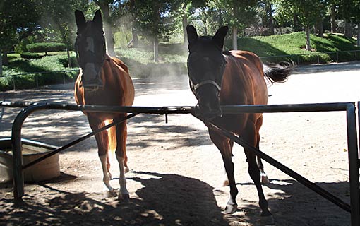 Historic Curb Family Ranch 009