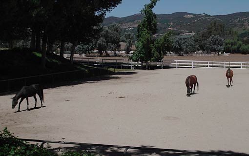 Historic Curb Family Ranch 010